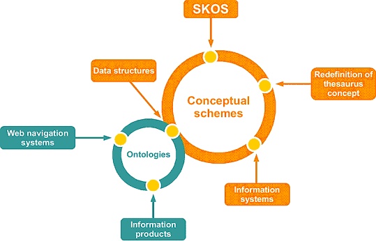 knowledge orgnization