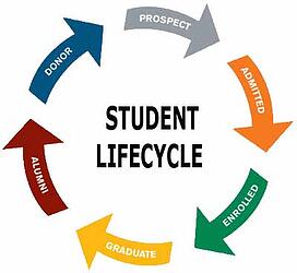 lifecycle