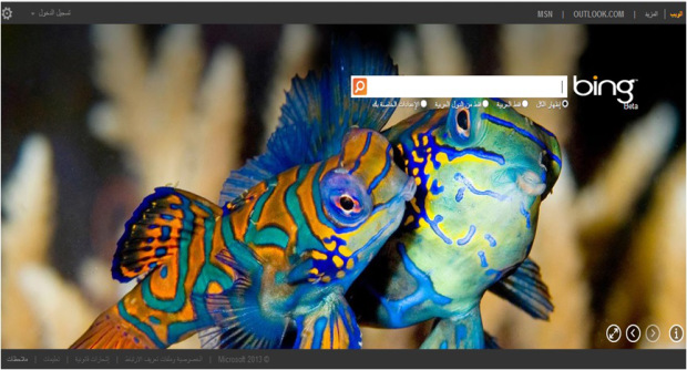 bing search engine